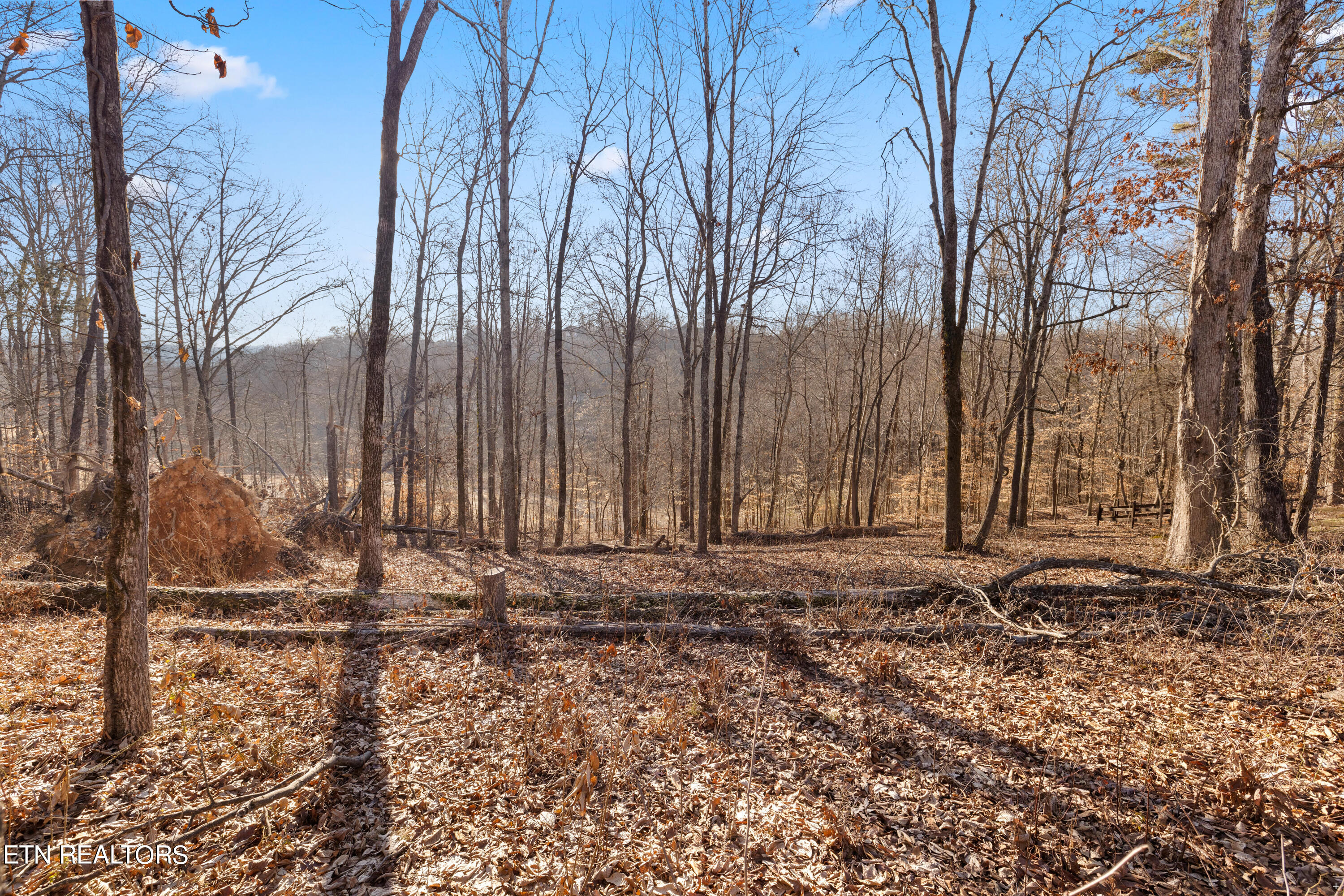 105 Rockbridge Greens Boulevard Oak Ridge, TN 37830 - Photo 10 of 17 Positive Perceptions-5