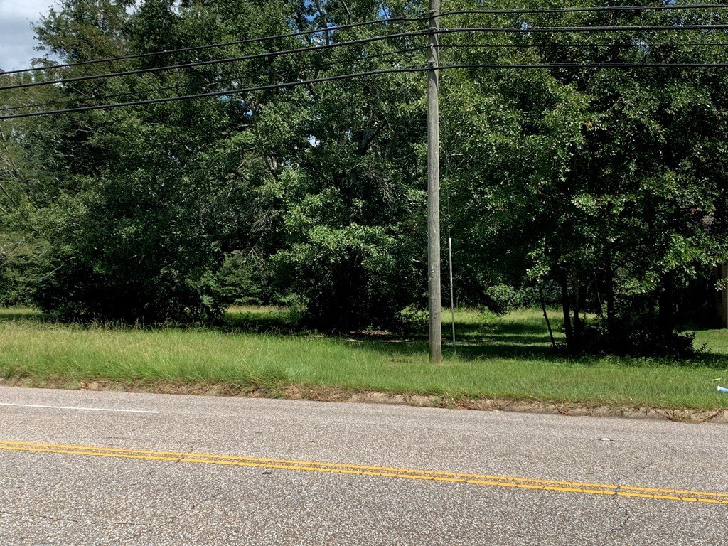 0 Denton Road Dothan, AL 36303 - Photo 2 of 4