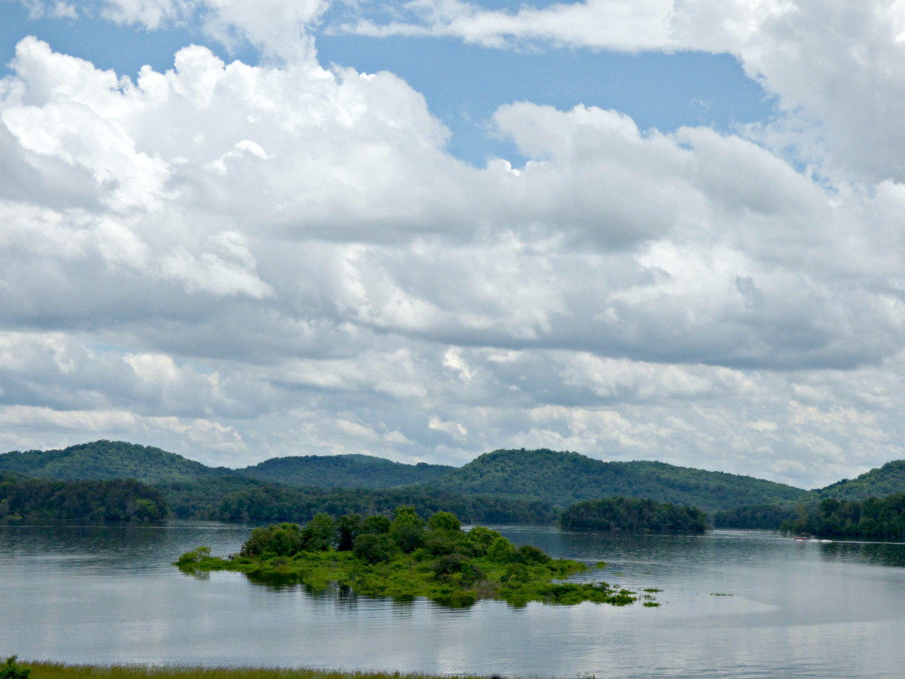 P1180917