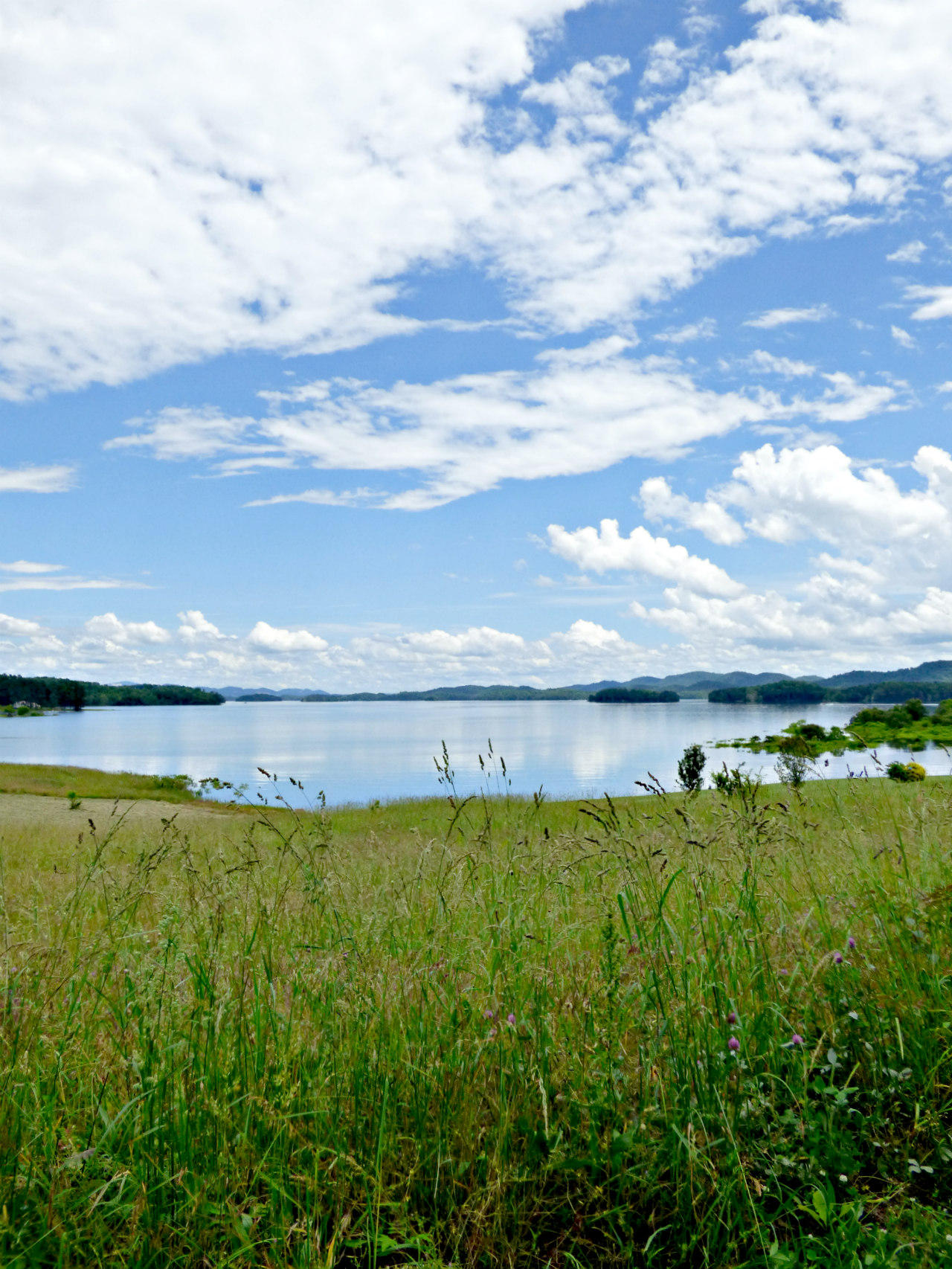 P1180920