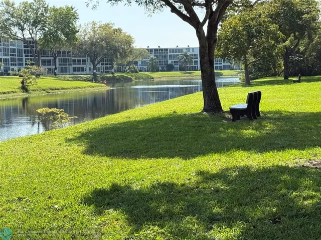 a view of a potted flower in the yard next to a house