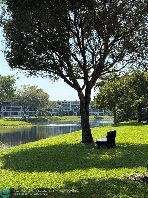 42 Tilford C, Unit 42 Deerfield Beach, FL 33442 - Photo 26 of 50 a view of a lake with a yard and a large tree
