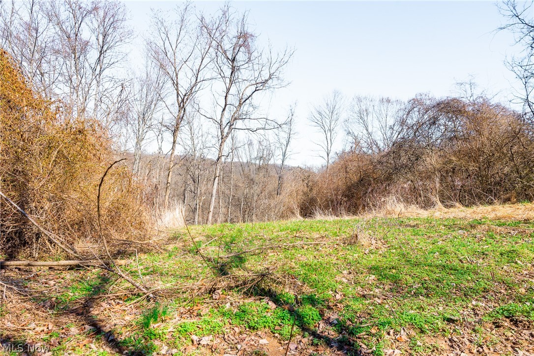Sheepskin Ridge Road Lower Salem, OH 45745 - Photo 22 of 50 View of undeveloped land