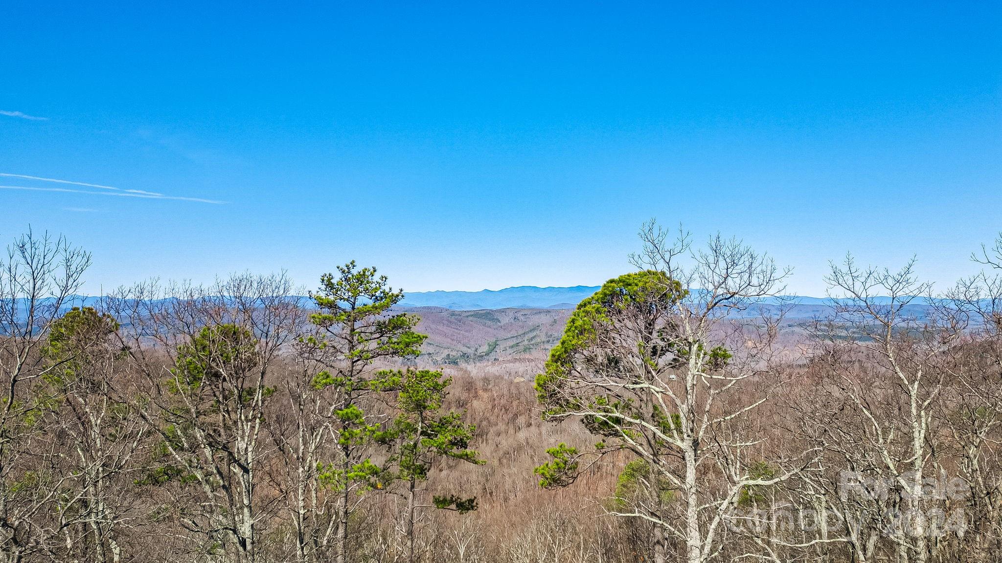 0 Locust Rd Union Mills Bostic, NC 28018 - Photo 11 of 24 a view of a flower in a garden