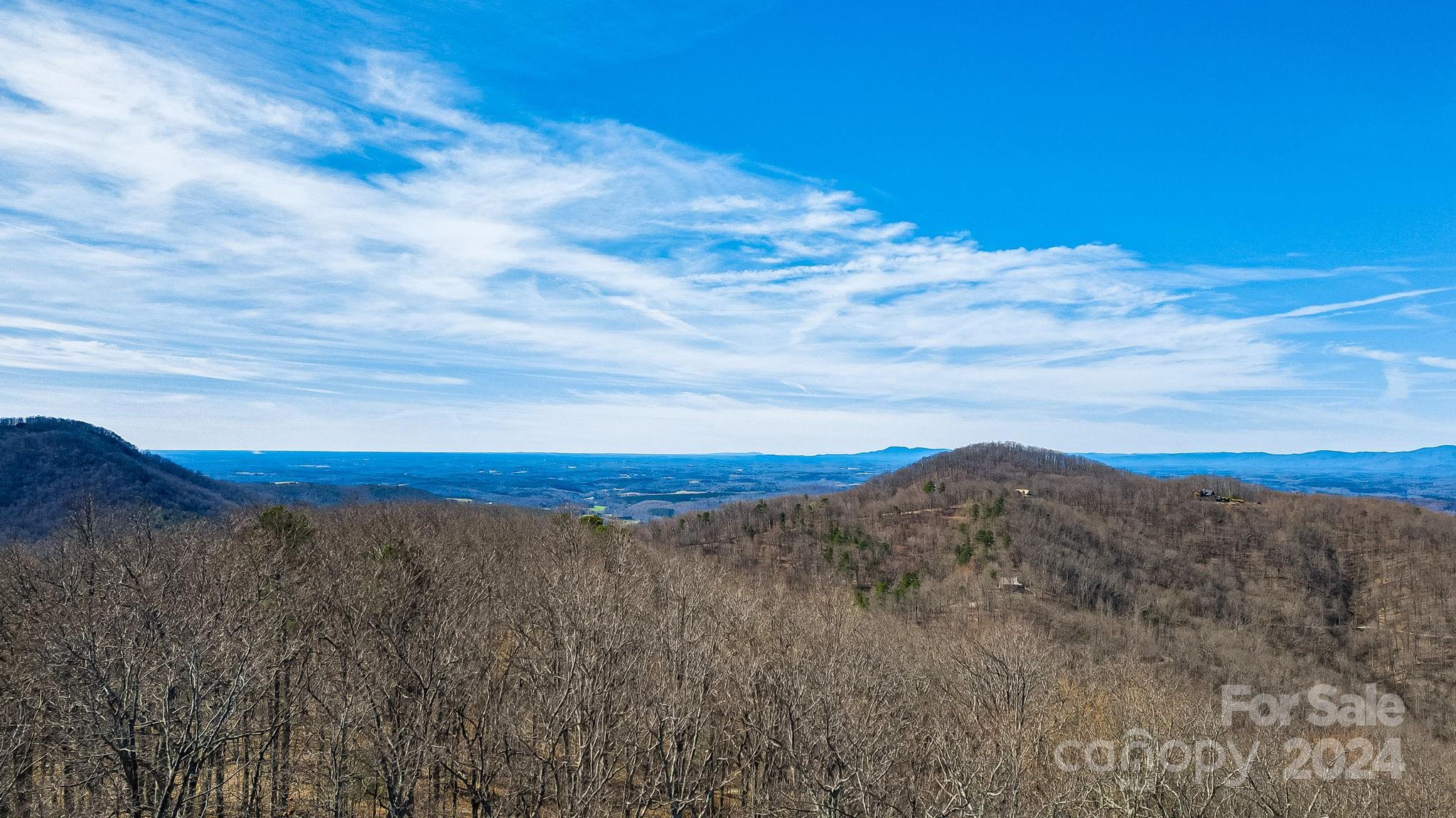 0 Locust Rd Union Mills Bostic, NC 28018 - Photo 14 of 24 a view of a dry yard with large trees