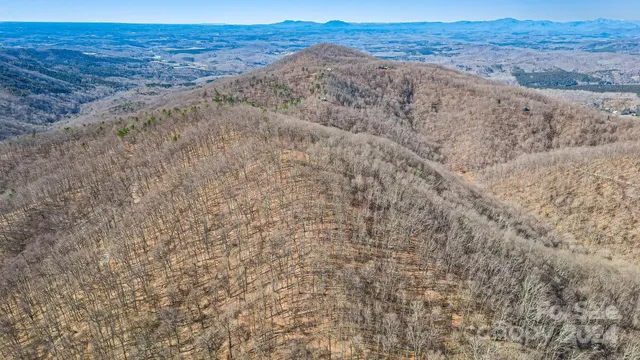 a view of a dry yard