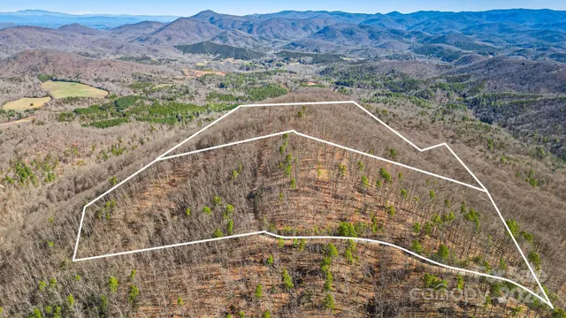 a view of a swimming pool with a yard