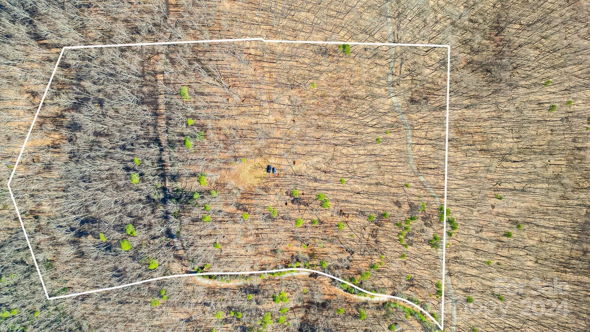 0 Locust Rd Union Mills Bostic, NC 28018 - Photo 4 of 24 a bathroom with a shower