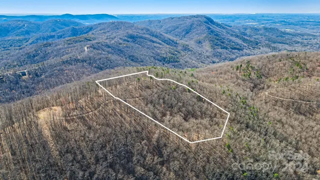 a view of a backyard with wooden fence