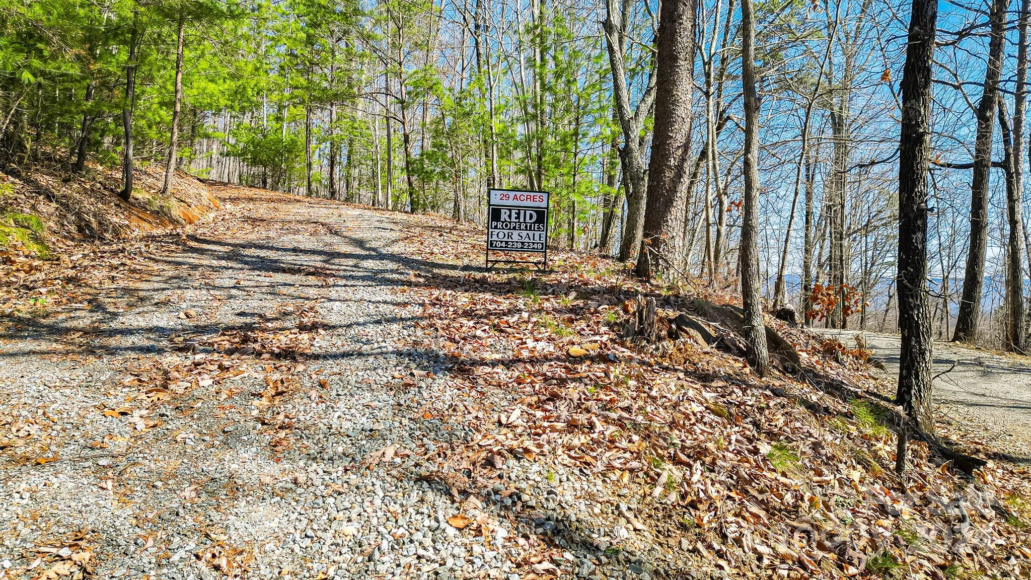 0 Locust Rd Union Mills Bostic, NC 28018 - Photo 7 of 24 a view of a backyard of the house
