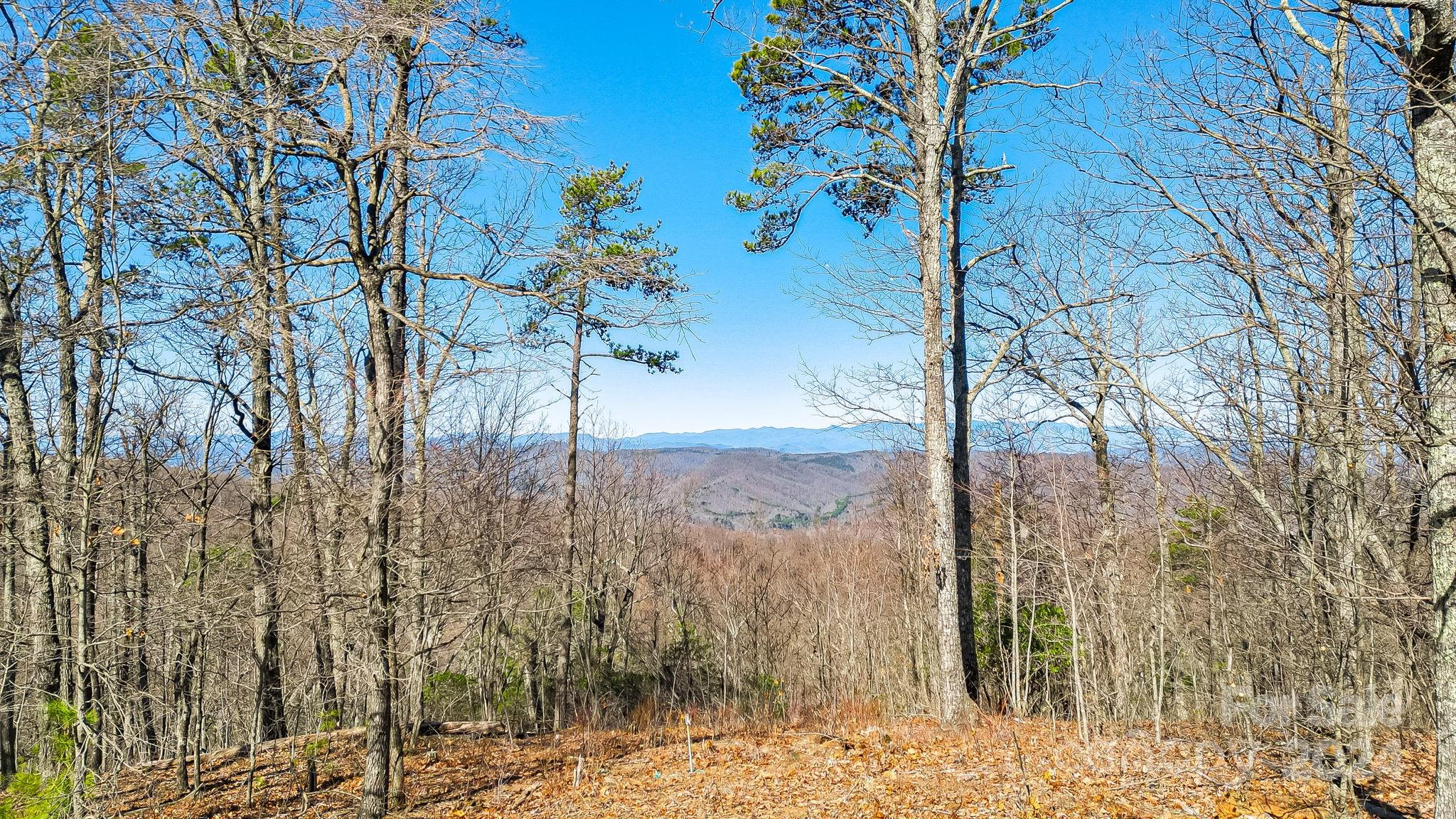 0 Locust Rd Union Mills Bostic, NC 28018 - Photo 8 of 24 a view of a yard