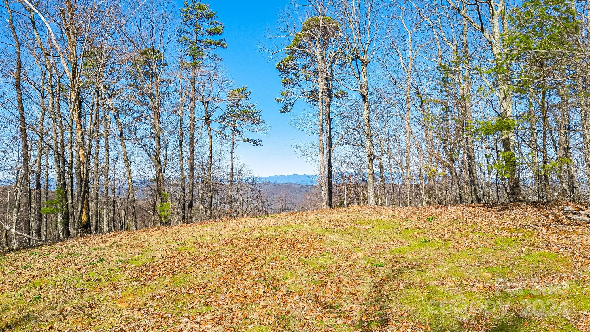 0 Locust Rd Union Mills Bostic, NC 28018 - Photo 9 of 24 a view of large tree with wooden fence