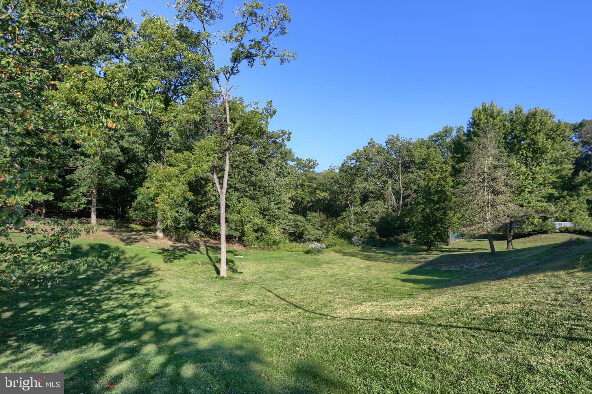 4122 Crestview Road Harrisburg, PA 17112 - Photo 5 of 71 a backyard of a house with lots of green space