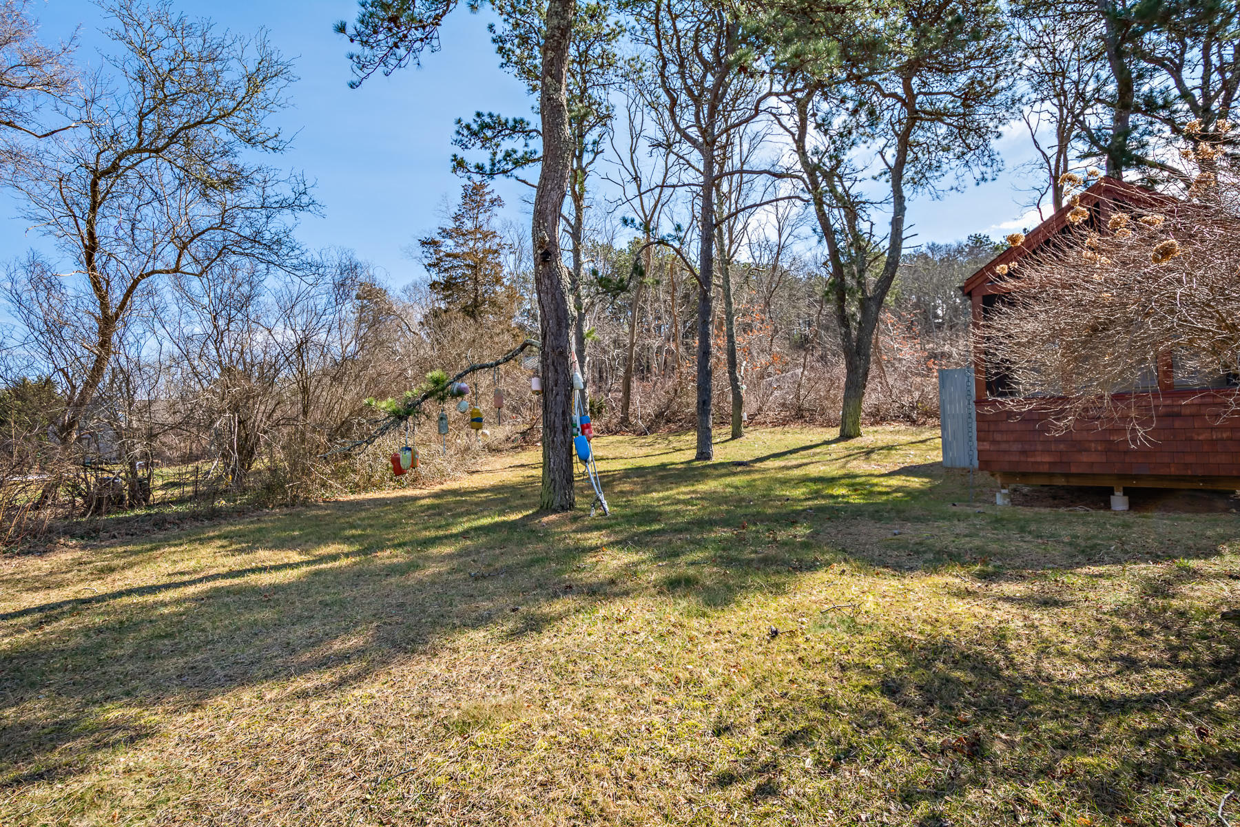 13 Atwood Road Truro, MA 02666 - Photo 7 of 36 a view of a yard with yellow space