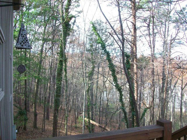 5259 Flintlock Road Roanoke, VA 24018 - Photo 109 of 116 20121119162520864017000000-o