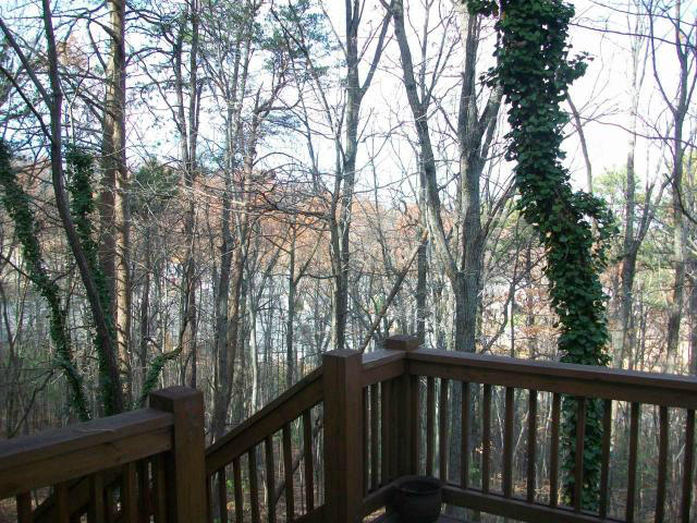5259 Flintlock Road Roanoke, VA 24018 - Photo 110 of 116 20121119162537360042000000-o
