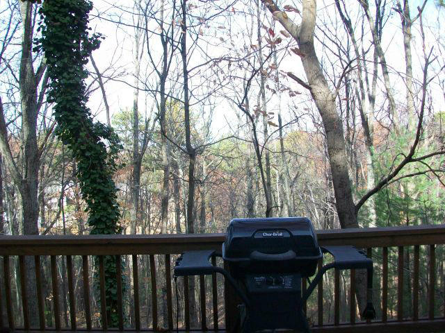 5259 Flintlock Road Roanoke, VA 24018 - Photo 111 of 116 20121119162548183199000000-o