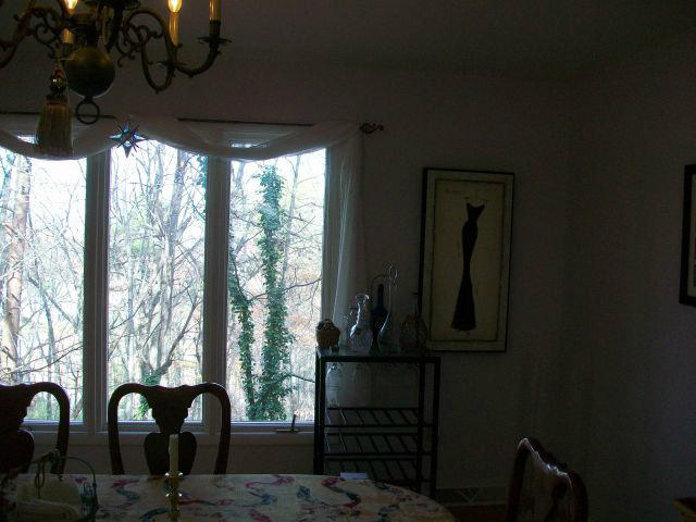 5259 Flintlock Road Roanoke, VA 24018 - Photo 25 of 116 20121119161052578146000000-o