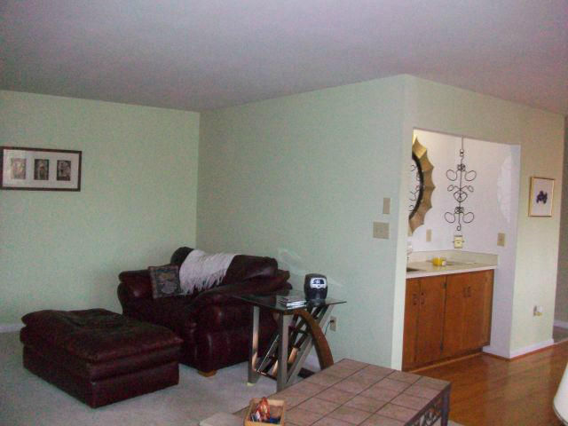 5259 Flintlock Road Roanoke, VA 24018 - Photo 46 of 116 20121119161429550594000000-o