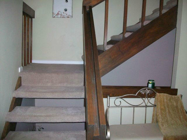 5259 Flintlock Road Roanoke, VA 24018 - Photo 55 of 116 20121119161614792025000000-o