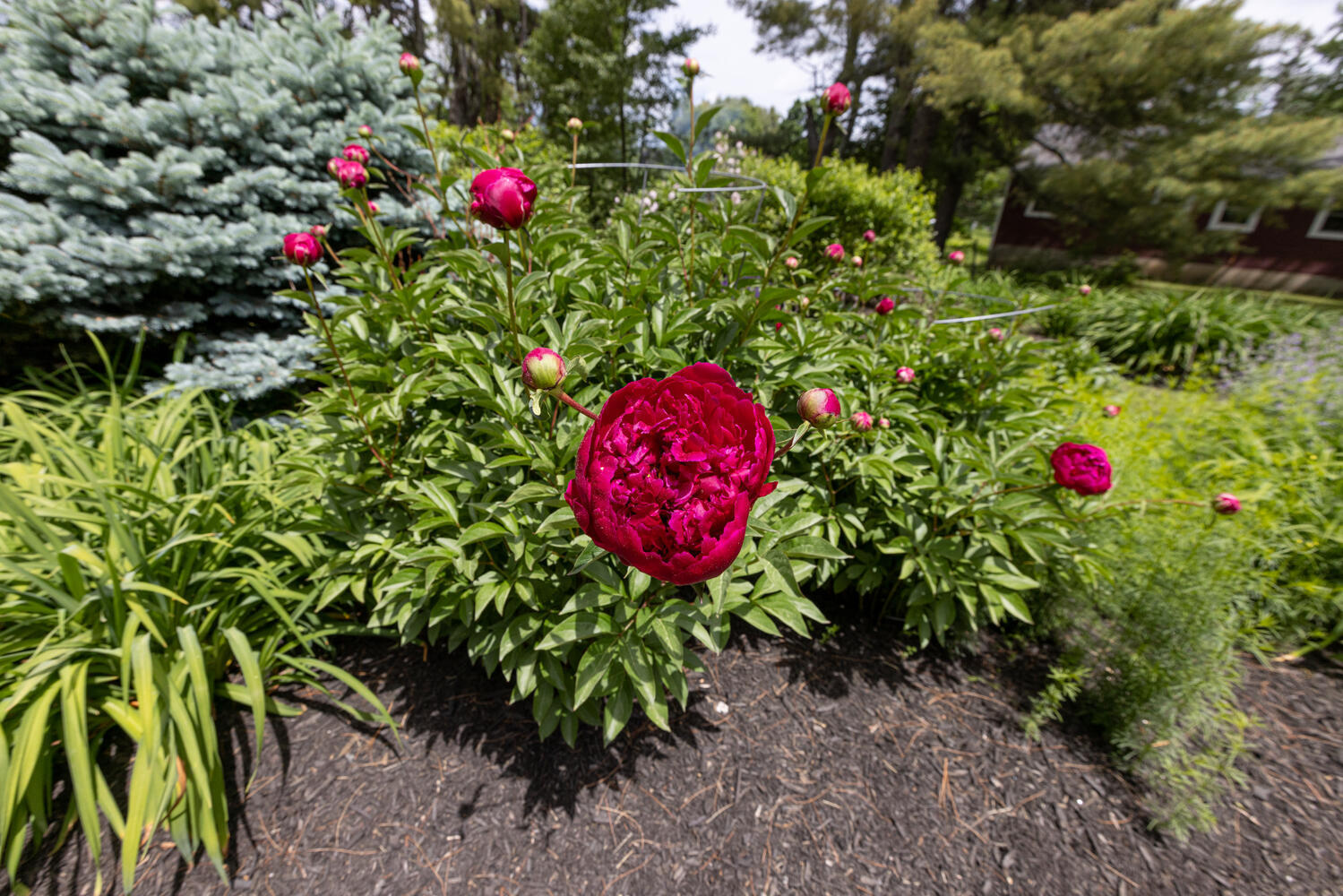 306 Main Street Cumberland, ME 04021 - Photo 64 of 71 306 Main St Cumberland ME-large-064-083-