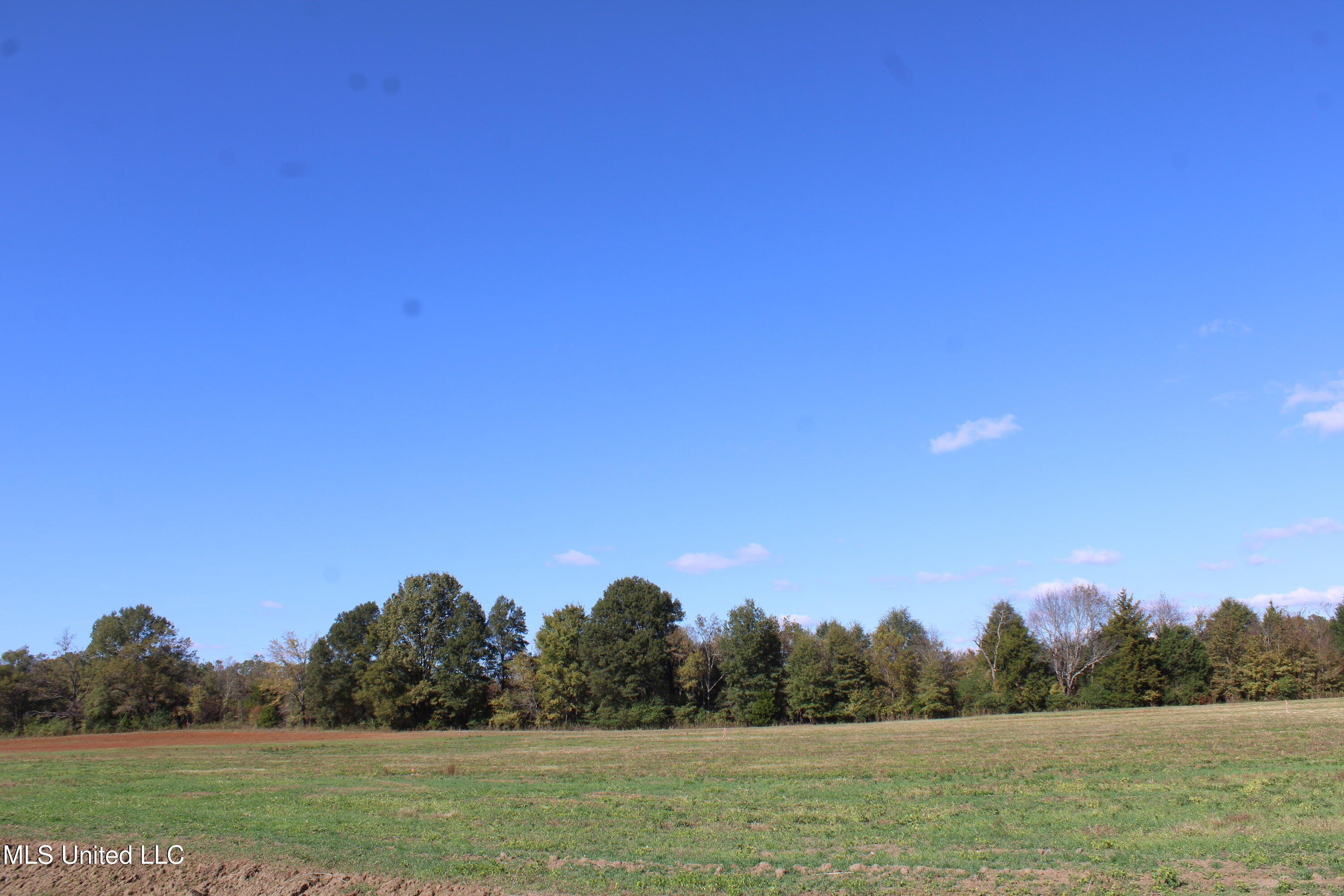 32 Pin Oak Road Michigan City, MS 38647 - Photo 18 of 22 IMG_6914