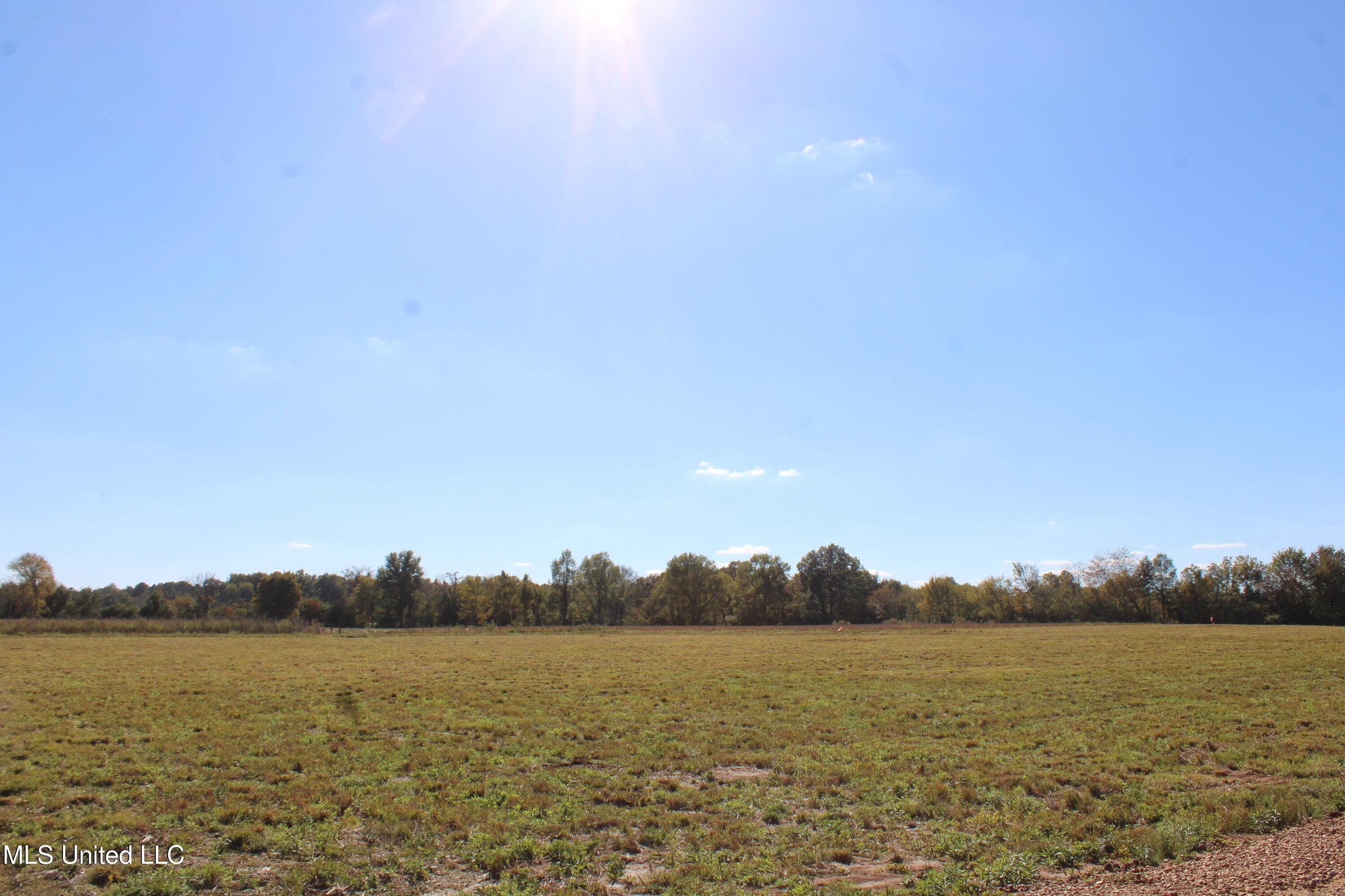 32 Pin Oak Road Michigan City, MS 38647 - Photo 10 of 22 IMG_6906