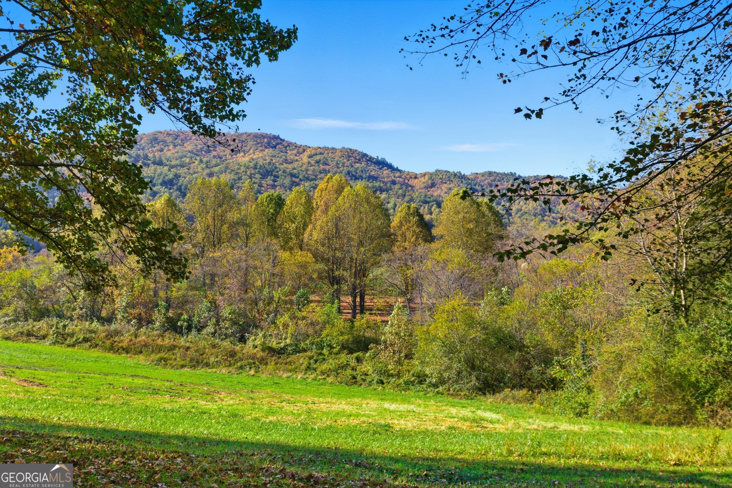 230 Majors Lane Rabun Gap, GA 30568 - Photo 16 of 54