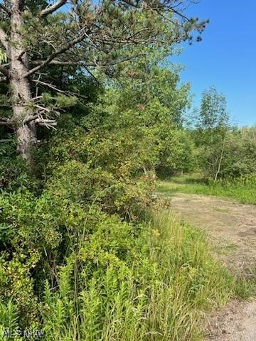 4273 Industry Road Rootstown, OH 44272 - Photo 1 of 3 View of local wilderness