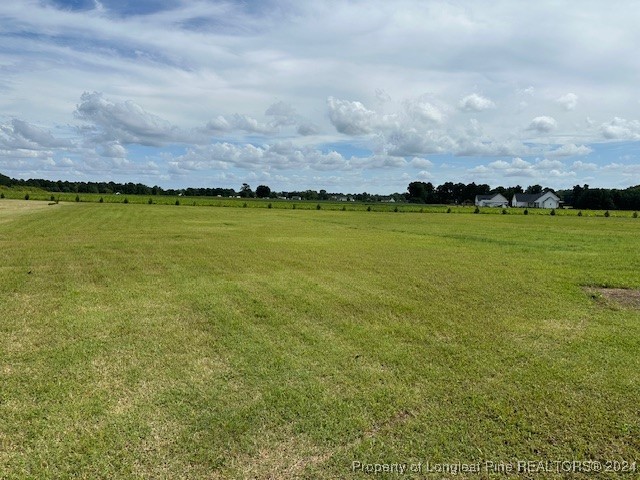 1938 Neighbors Road Benson, NC 27504 - Photo 3 of 28 Gallery Image 3