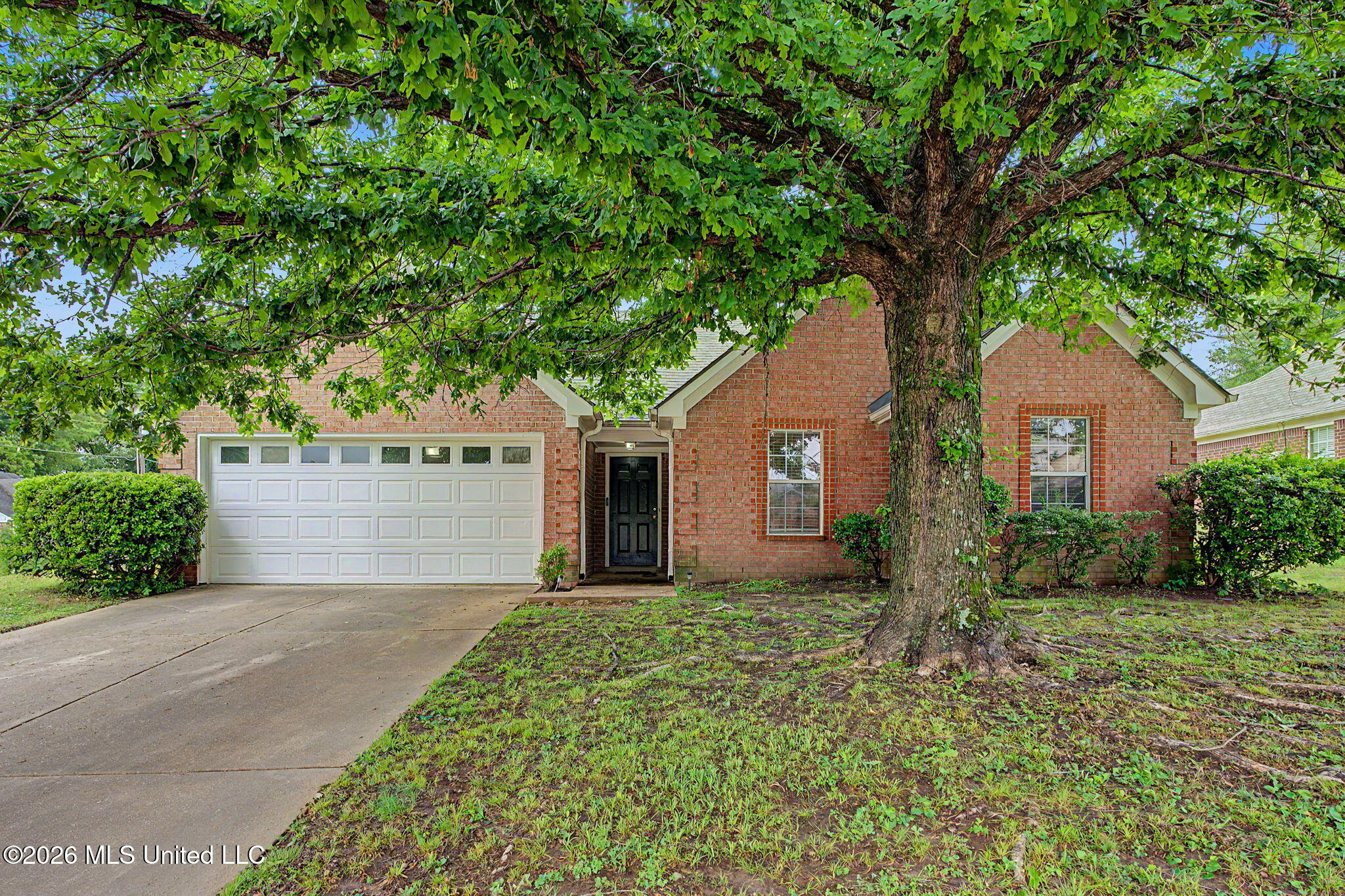 3145 Magnolia Drive Hernando, MS 38632 - Photo 10 of 40 Front