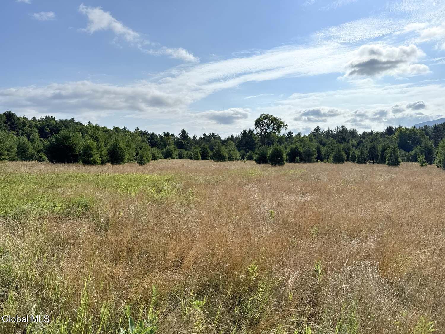 171 Trumbulls Road Jay, NY 12941 - Photo 1 of 5 Land