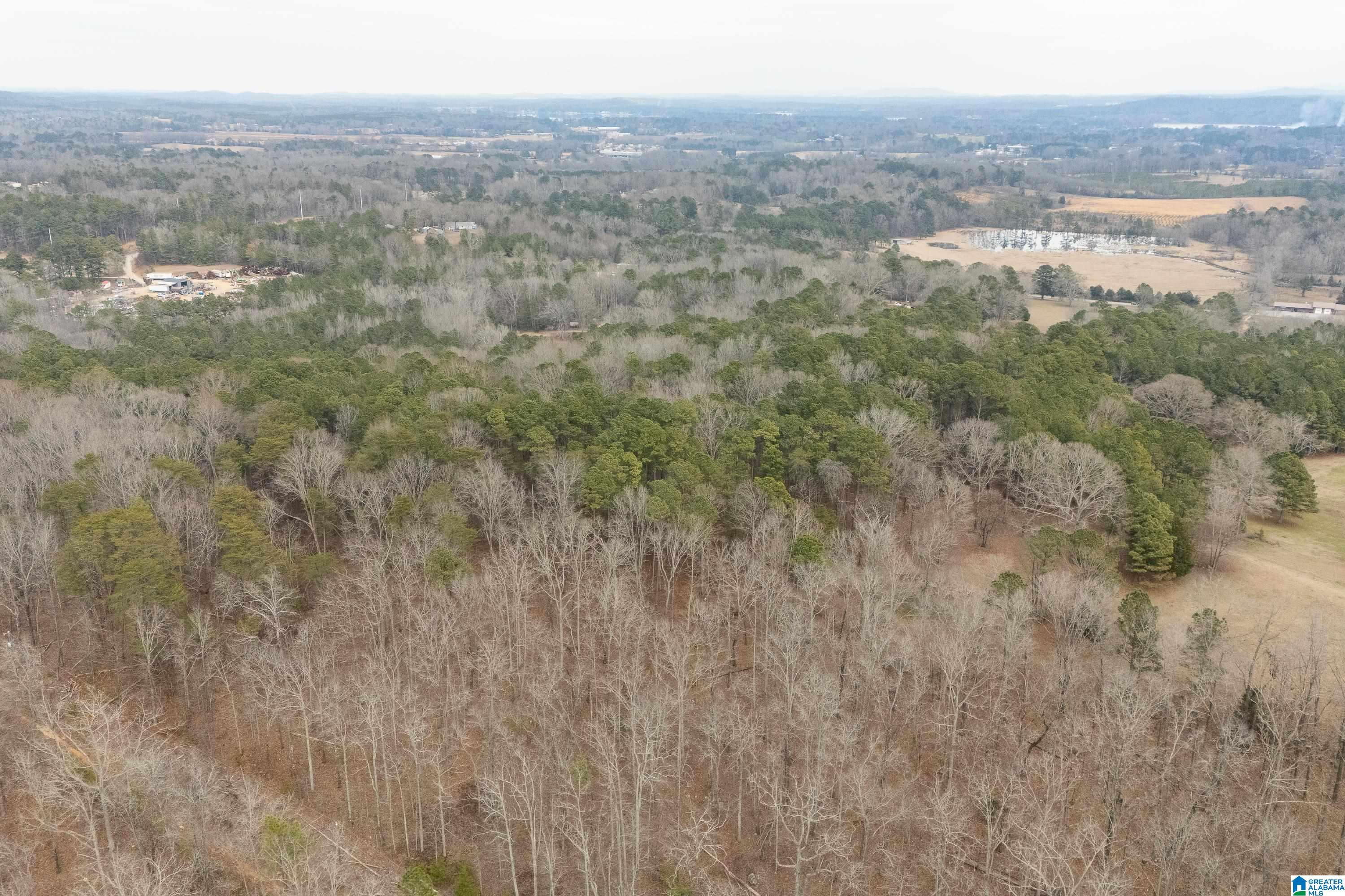 4175 Logan Martin Dam Road Cropwell, AL 35054 - Photo 46 of 47