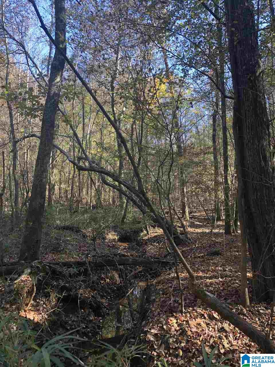 39 County Road, Unit 4J Woodland, AL 36280 - Photo 5 of 8
