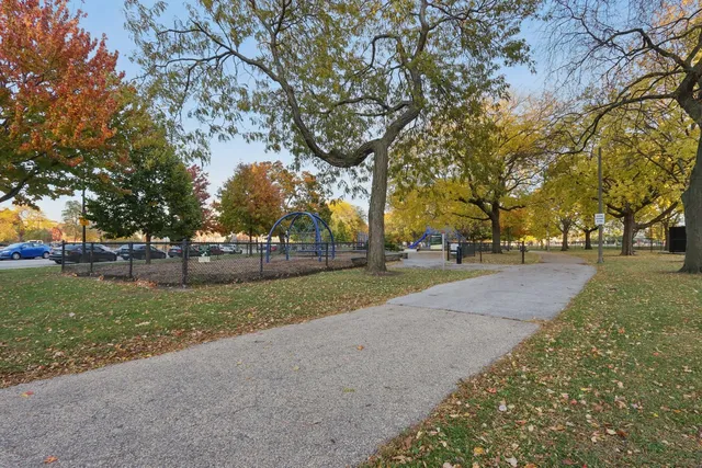 a huge green field with lots of trees