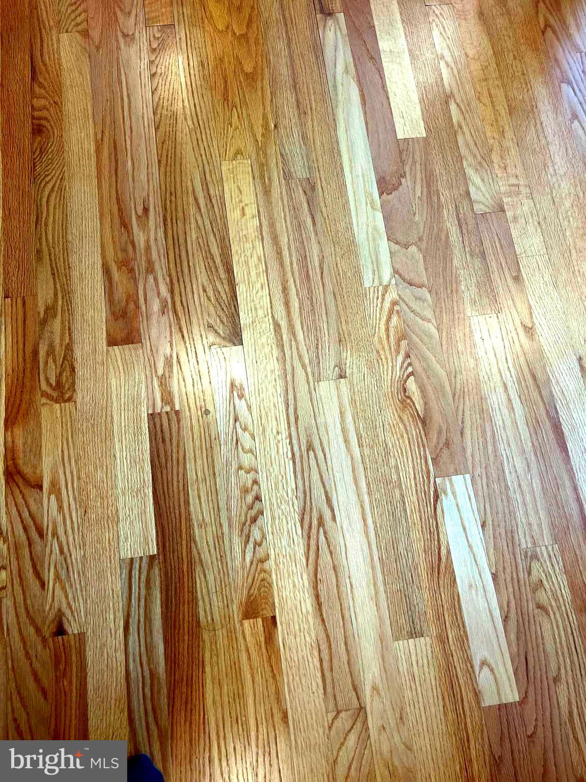 2319 Reckord Road Joppa, MD 21085 - Photo 6 of 45 a view of a curtain with wooden floor