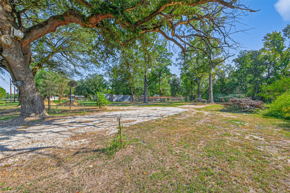 14 County Road 2400 Hull, TX 77564 - Photo 34 of 38 a view of a yard with a large tree