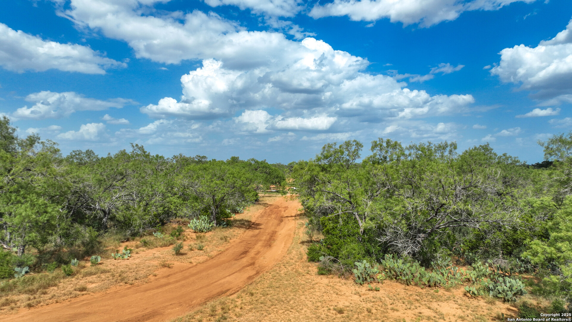 6451 Bluntzer Road Jourdanton, TX 78026 - Photo 36 of 51 a view of a yard with mountain
