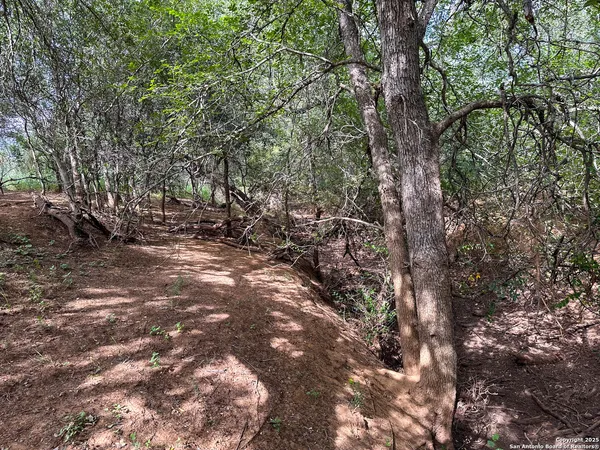 $849,000 | 6451 Bluntzer Road, Jourdanton, TX 78026