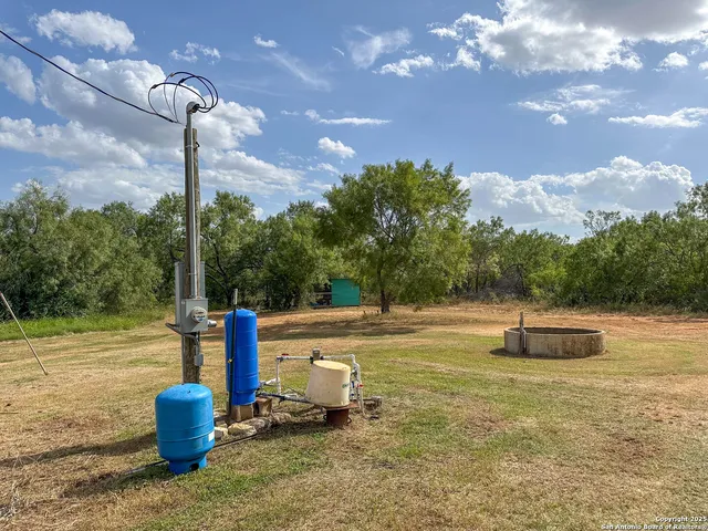 a view of a yard with plants and a large tree