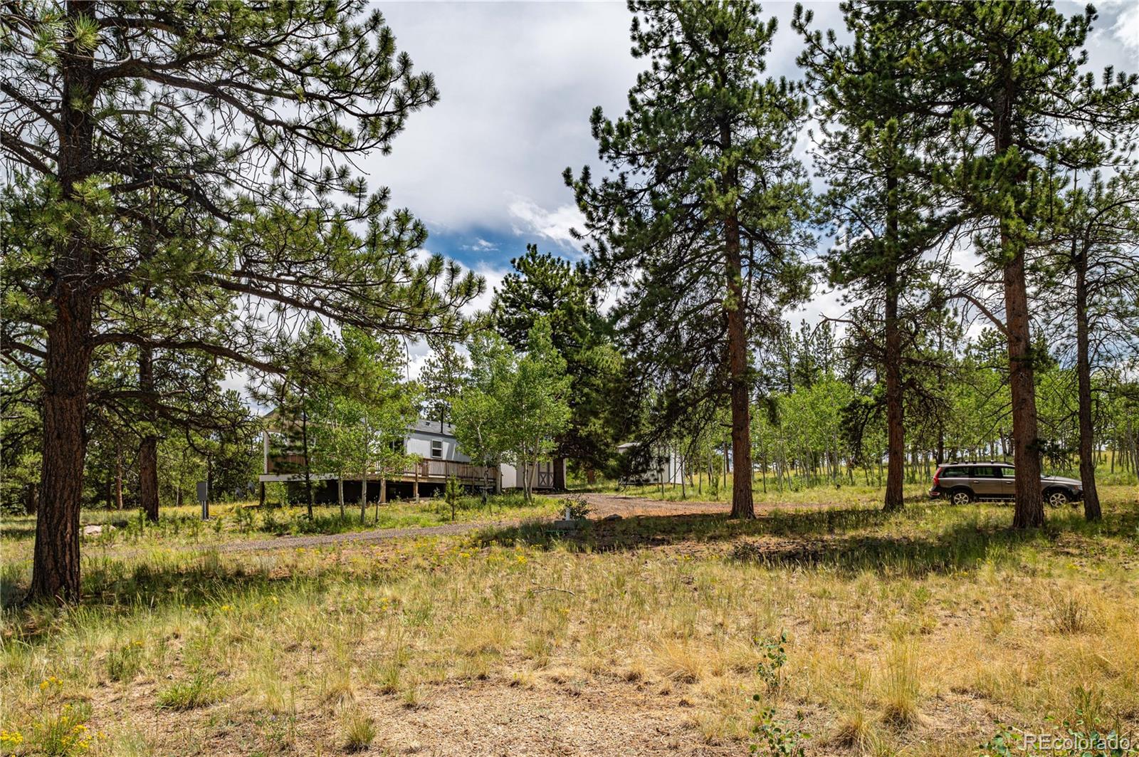 9674 Ranch Road Hartsel, CO 80449 - Photo 21 of 29 Gallery Image 21