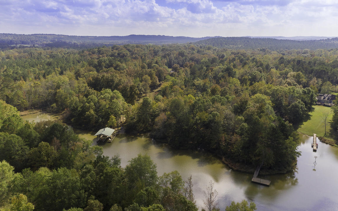 3290 Armstrong Ferry Road Decatur, TN 37322 - Photo 37 of 43 DJI_0828