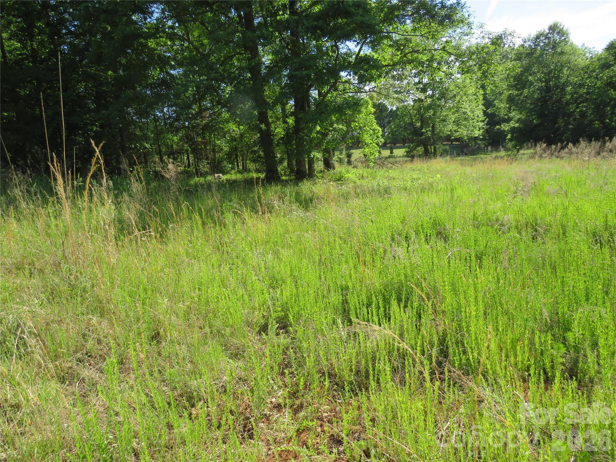 0 Blue Sapphire Lane Rutherfordton, NC 28139 - Photo 11 of 25