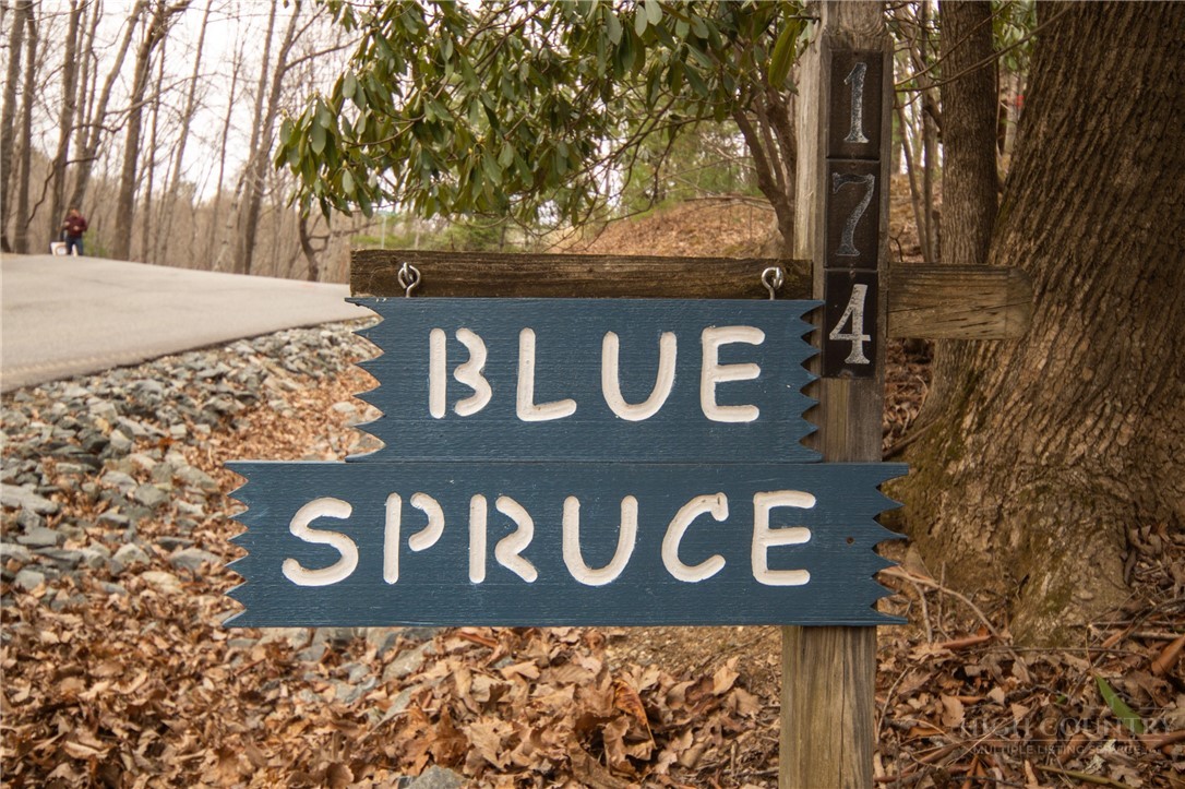174 Horseshoe Ridge Road East Deep Gap, NC 28618 - Photo 26 of 33