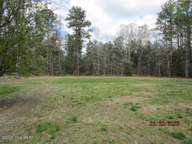 135 Gates Forest Road Eure, NC 27935 - Photo 22 of 25 IMG_7250