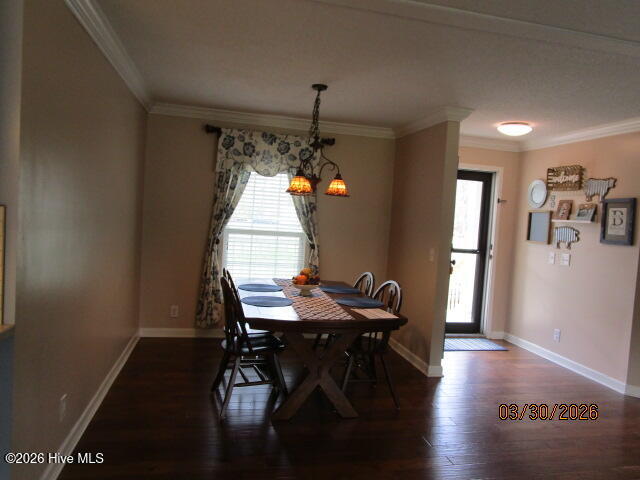 135 Gates Forest Road Eure, NC 27935 - Photo 6 of 25 IMG_7244