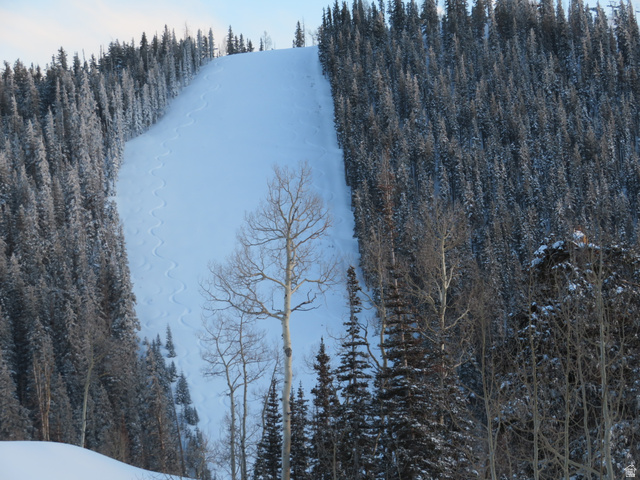 6 Tushar Mountain Estates, Unit 6 Beaver, UT 84713 - Photo 6 of 16 Snow-covered slope bordered by dense evergreen forests and bare deciduous trees