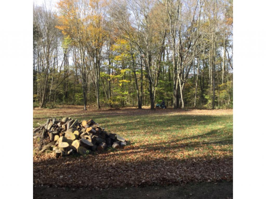 0 Chickering Road Westmoreland, NH 03467 - Photo 12 of 15 Gallery Image 12