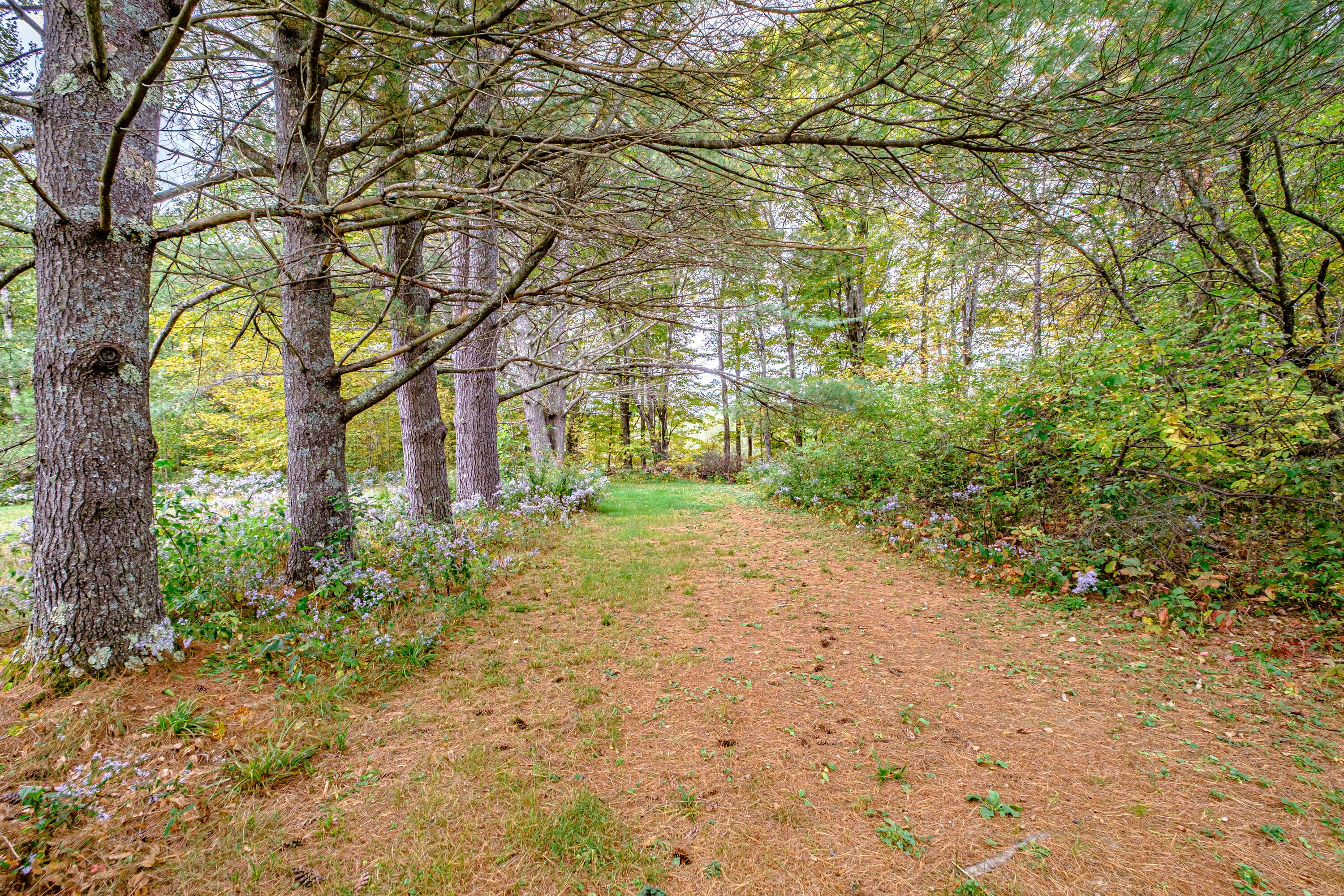 Tbd Main Street Hanover, ME 04237 - Photo 2 of 12 20240923gp-61050