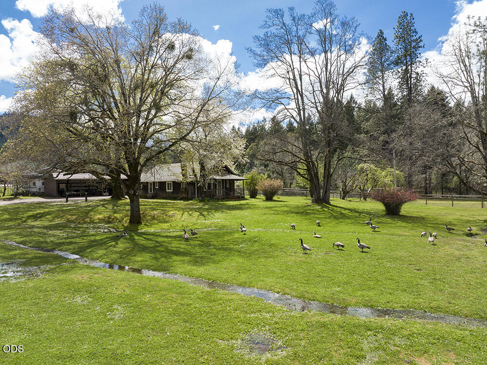 910 Reeves Creek Road Selma, OR 97538 - Photo 66 of 73